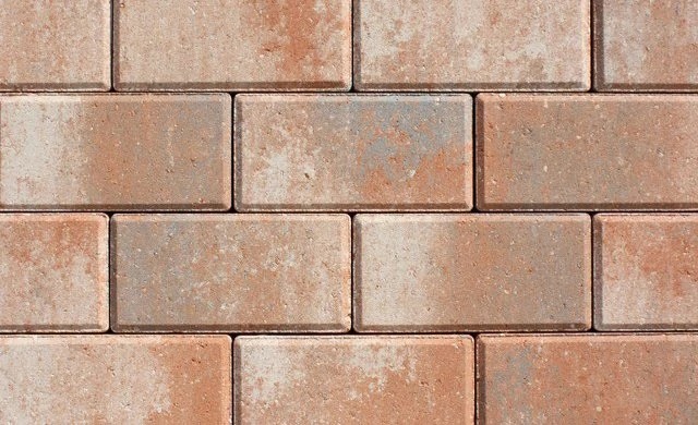 VANILLA / SUNKIST / PEWTER 414403