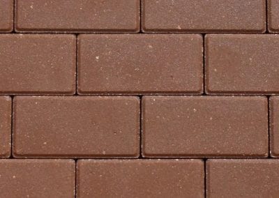 CHESTNUT 62