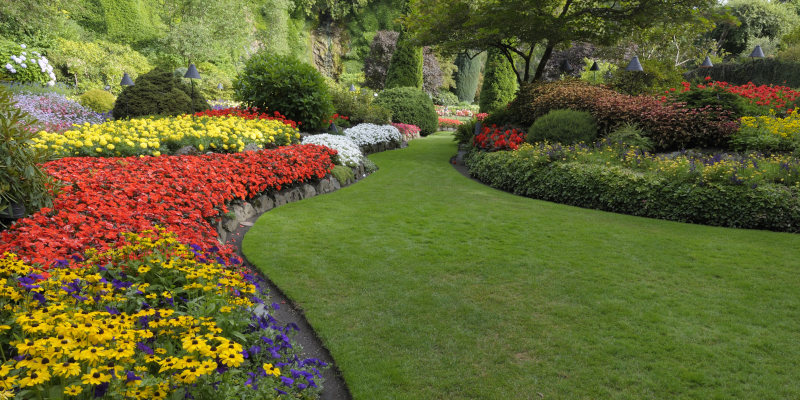 Commercial Landscape Services and Products in Winter Haven, Florida
